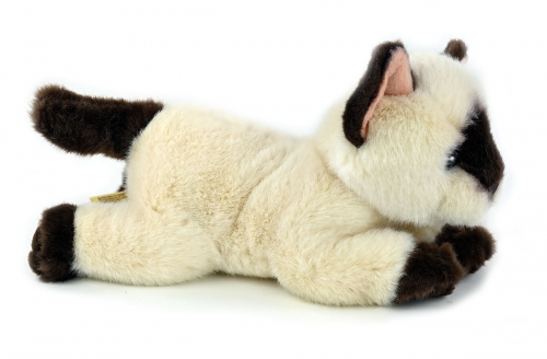 Preview: Siamkatze liegend